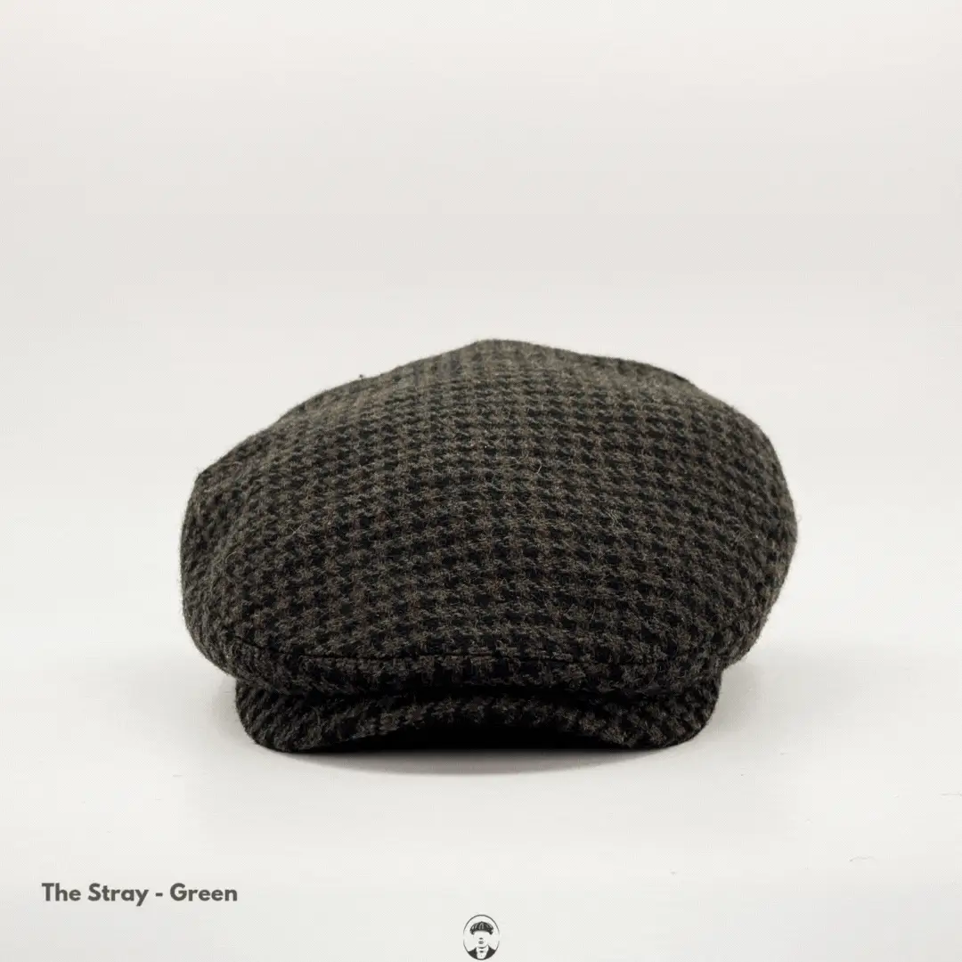 The Stray - Image 7